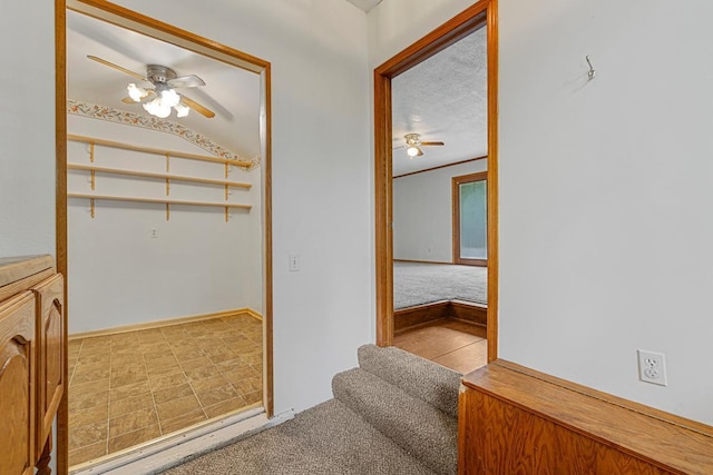 810 Madison St W, Saint Peter, MN 56082 - photo 9