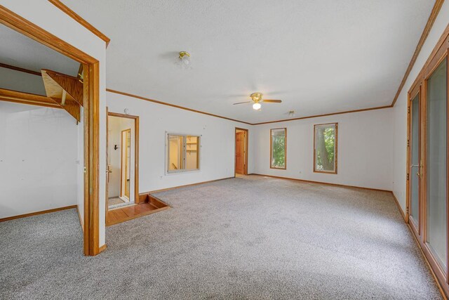 810 Madison St W, Saint Peter, MN 56082 - photo 12