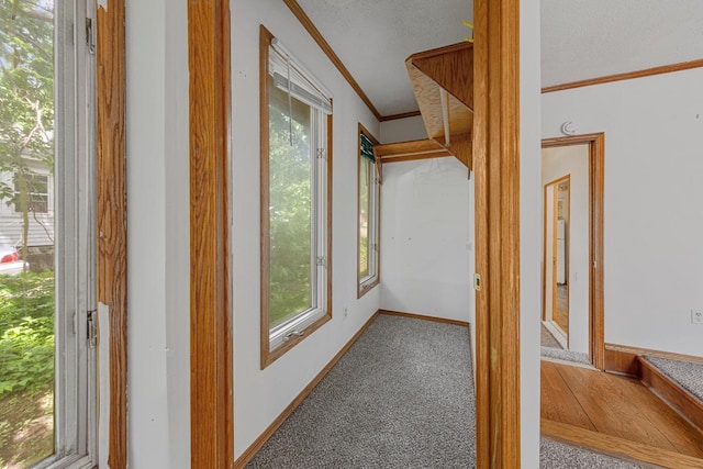 810 Madison St W, Saint Peter, MN 56082 - photo 14