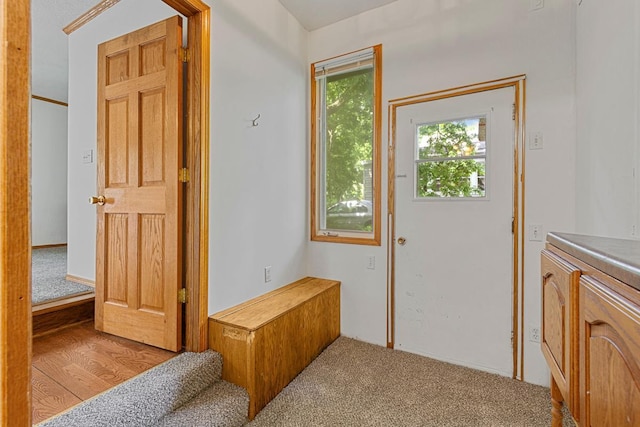 810 Madison St W, Saint Peter, MN 56082 - photo 15