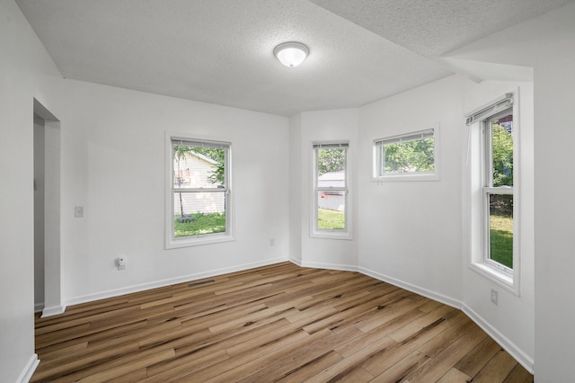 2931 Lyndale Ave N, Minneapolis, MN 55411 - unfurnished room with a textured ceiling, wood finished floors, and plenty of natural light