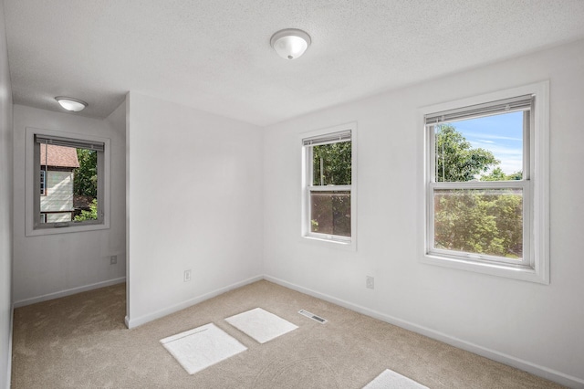 2931 Lyndale Ave N, Minneapolis, MN 55411 - unfurnished room with light carpet and a textured ceiling
