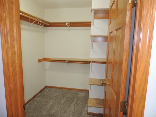 38 Glenview Loop, Saint Cloud, MN 56303 - walk in closet with carpet floors