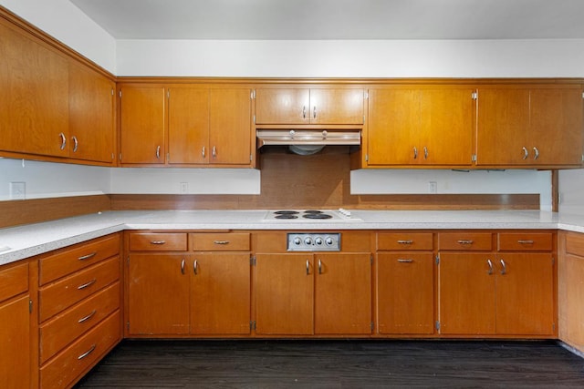 713 Sherman St, North Mankato, MN 56003 - kitchen with under cabinet range hood, light countertops, dark wood-type flooring, and white electric stovetop