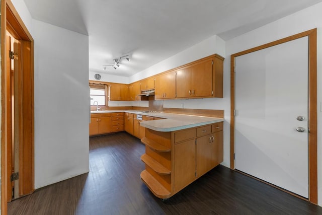 713 Sherman St, North Mankato, MN 56003 - kitchen featuring under cabinet range hood, light countertops, stovetop, dark wood-type flooring, and a peninsula