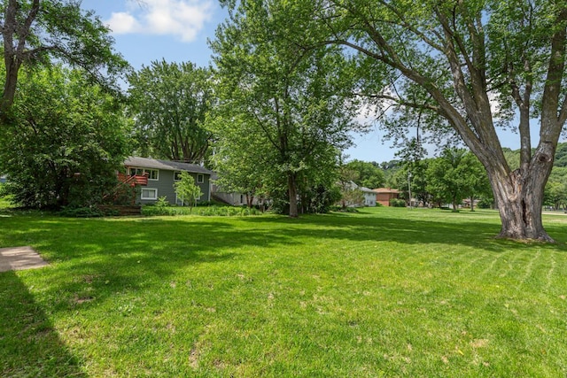 713 Sherman St, North Mankato, MN 56003 - view of grassy yard