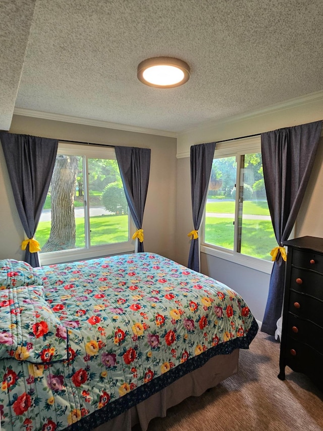 217 Galtier Pl, Shoreview, MN 55126 - carpeted bedroom featuring multiple windows, a textured ceiling, and crown molding