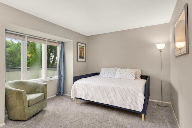11140 Abbott Ln, Minnetonka, MN 55343 - carpeted bedroom featuring baseboards