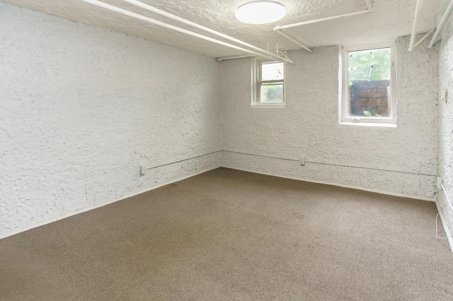 4720 Nicollet Ave Unit 5, Minneapolis, MN 55419 - below grade area with a textured wall and carpet