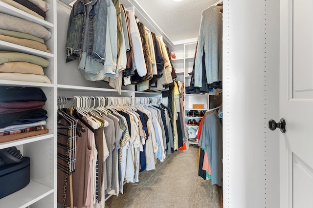 1541 Wexford Ct, Eagan, MN 55122 - walk in closet featuring carpet