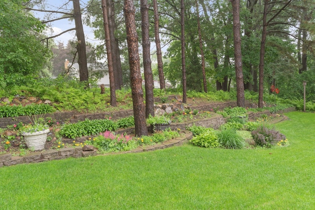 469 Lake Wabasso Ct, Shoreview, MN 55126 - photo 40