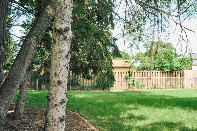 7467 Meadowwood Ct, Brooklyn Park, MN 55444 - view of yard