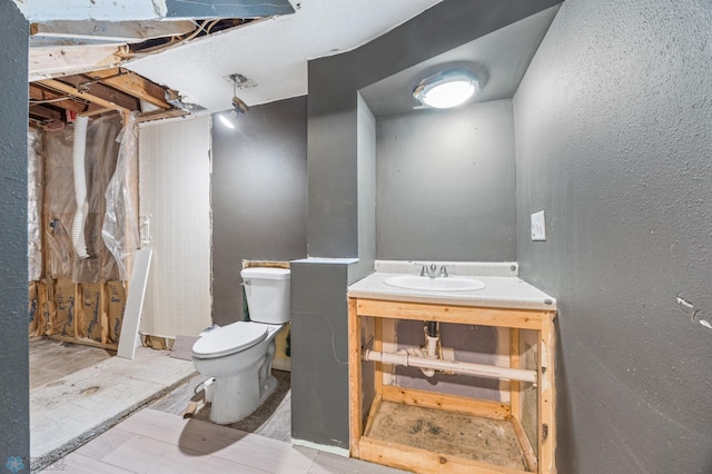 1130 Oak St N, Fargo, ND 58102 - bathroom featuring vanity and a textured wall