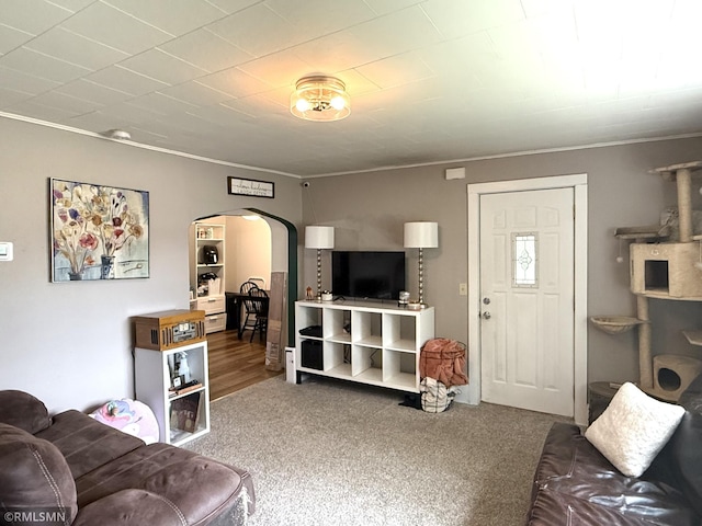 208 Cleveland St SE, Silver Lake, MN 55381 - carpeted living room featuring arched walkways and crown molding