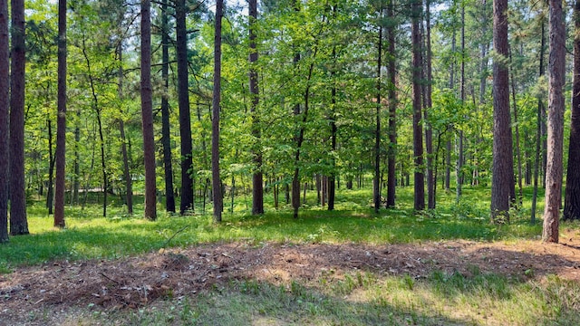 13000 Inlet Cir, Park Rapids, MN 56470 - view of woods