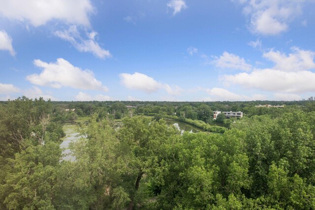 6500 Woodlake Dr Unit 1006, Richfield, MN 55423 - view of woods