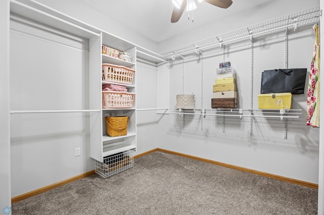 2501 30th Ave S Unit 203, Fargo, ND 58103 - spacious closet with carpet flooring and a ceiling fan