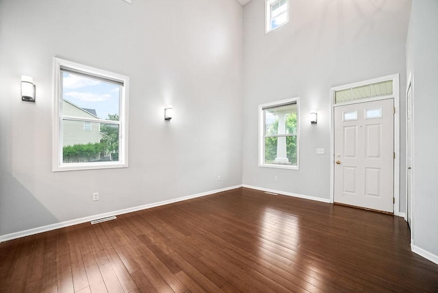 6800 Troy Ln N, Maple Grove, MN 55311 - entrance foyer with a towering ceiling and hardwood / wood-style floors