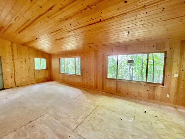 111 Wakeman Bay Rd, Wabana Twp, MN 55744 - unfurnished room with wooden walls