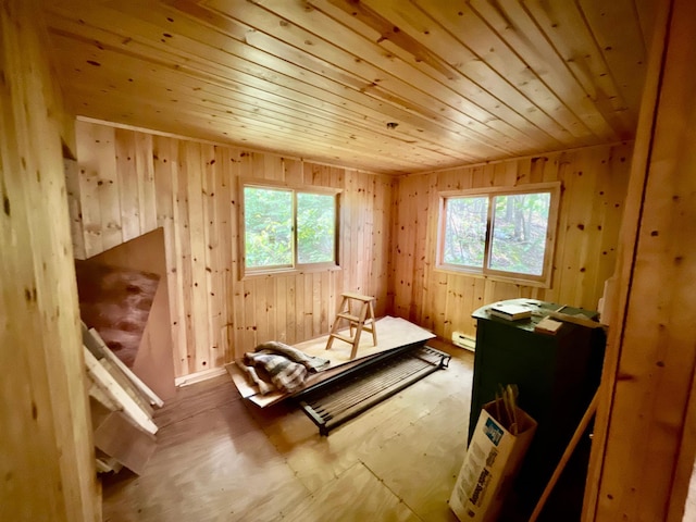 111 Wakeman Bay Rd, Wabana Twp, MN 55744 - bedroom with wooden ceiling, wood walls, a baseboard radiator, and wood finished floors