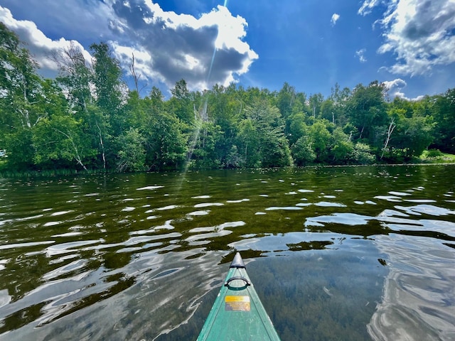 111 Wakeman Bay Rd, Wabana Twp, MN 55744 - water view featuring a forest