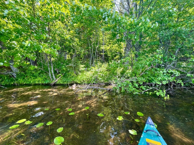111 Wakeman Bay Rd, Wabana Twp, MN 55744 - view of undeveloped land