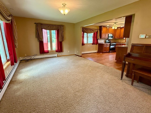11 Bloomquist St, Blomkest, MN 56216 - photo 10