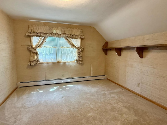 11 Bloomquist St, Blomkest, MN 56216 - photo 15