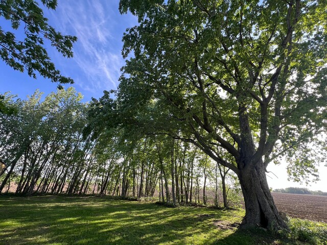 38184 County 47th Blvd, Goodhue, MN 55027 - view of grassy yard