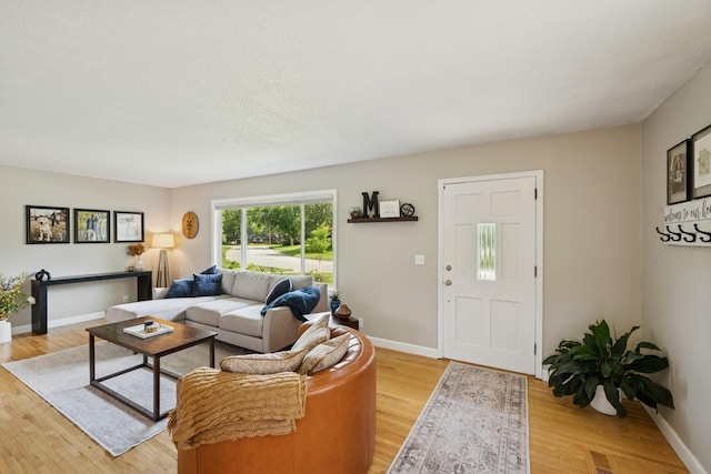 3300 88th St, Bloomington, MN 55431 - living room with light wood finished floors and baseboards