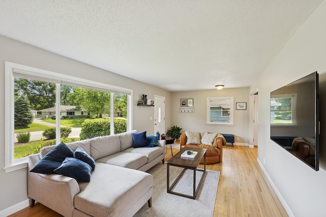3300 88th St, Bloomington, MN 55431 - living room with light wood-style floors, healthy amount of natural light, and a textured ceiling