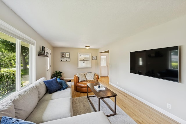 3300 88th St, Bloomington, MN 55431 - living room featuring wood finished floors and plenty of natural light
