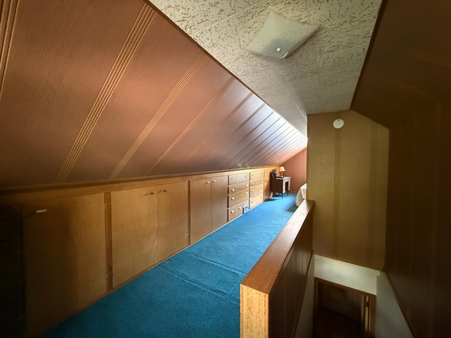 1202 4th St, Montevideo, MN 56265 - additional living space featuring lofted ceiling and carpet