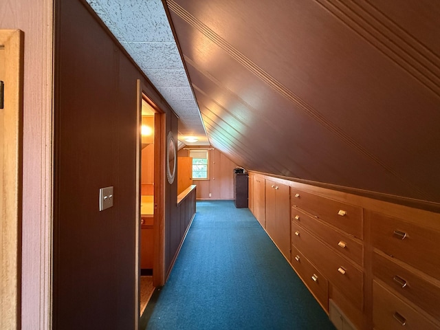 1202 4th St, Montevideo, MN 56265 - additional living space featuring carpet floors and lofted ceiling