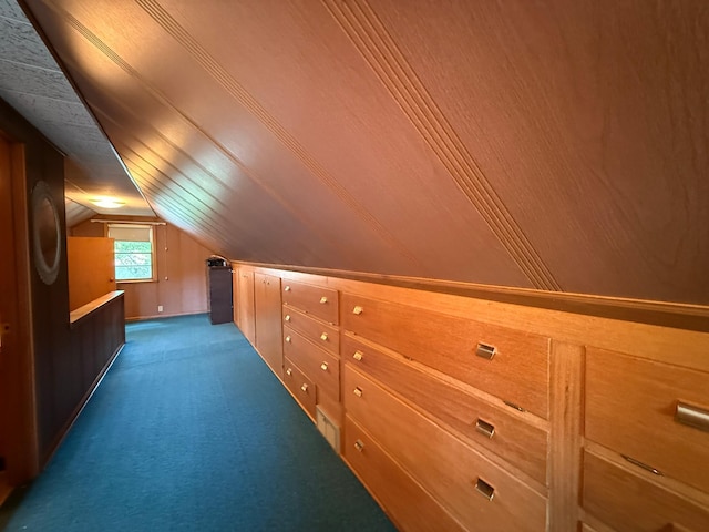 1202 4th St, Montevideo, MN 56265 - additional living space featuring vaulted ceiling and dark carpet