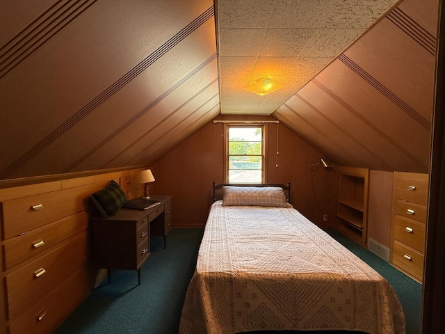 1202 4th St, Montevideo, MN 56265 - bedroom featuring dark carpet and vaulted ceiling