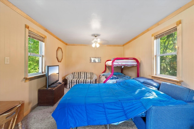 2630 320th St, Cushing, WI 54006 - bedroom with ornamental molding, multiple windows, carpet flooring, and a ceiling fan