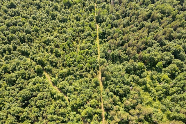 2630 320th St, Cushing, WI 54006 - bird's eye view