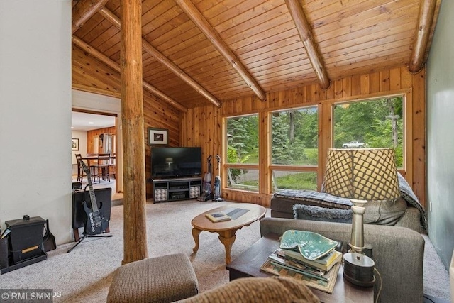 2818 Wilson Ave, Sterling Twp, WI 54024 - living area featuring carpet flooring, wooden ceiling, and wood walls