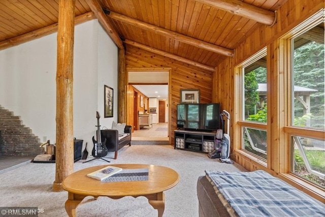 2818 Wilson Ave, Sterling Twp, WI 54024 - carpeted living room with plenty of natural light, wooden ceiling, and wooden walls