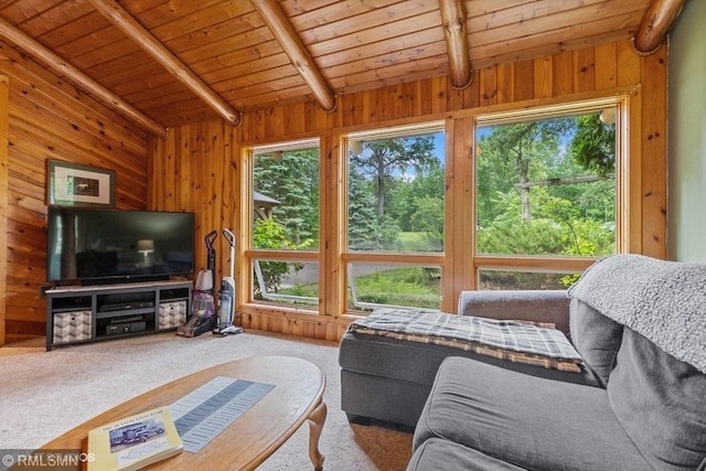 2818 Wilson Ave, Sterling Twp, WI 54024 - carpeted living room featuring healthy amount of natural light, wood ceiling, and wooden walls