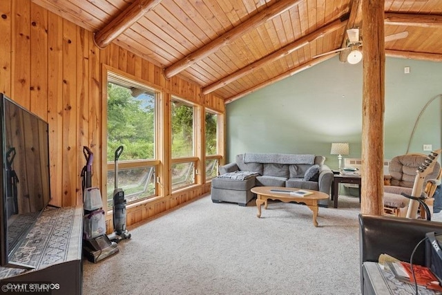 2818 Wilson Ave, Sterling Twp, WI 54024 - living area with wood ceiling, carpet floors, and wood walls