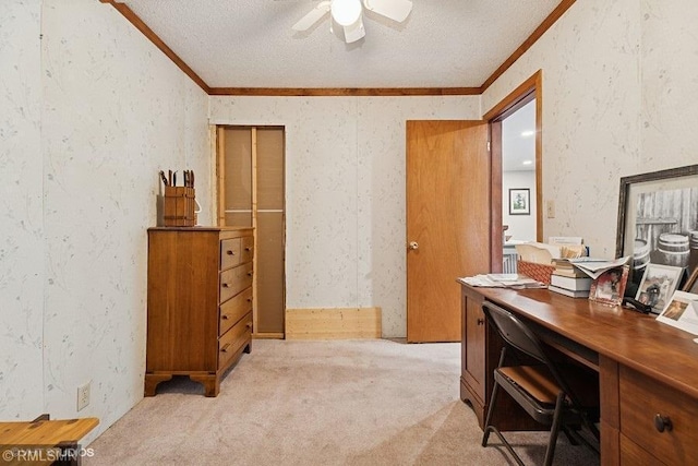 2818 Wilson Ave, Sterling Twp, WI 54024 - office space with ornamental molding, ceiling fan, light colored carpet, and a textured ceiling