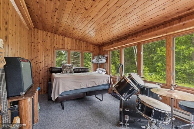2818 Wilson Ave, Sterling Twp, WI 54024 - bedroom with vaulted ceiling, carpet floors, wooden walls, and wooden ceiling