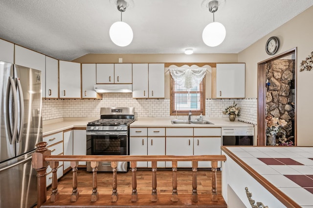 2233 Fremont Ave E, Saint Paul, MN 55119 - kitchen featuring stainless steel appliances, under cabinet range hood, wood finished floors, white cabinetry, and a textured ceiling