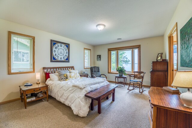 5503 Mallard Ln NE, Northern Twp, MN 56601 - photo 18