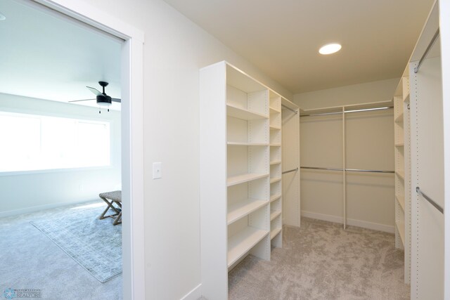 1276 Marlys Dr W, West Fargo, ND 58078 - walk in closet with light colored carpet and a ceiling fan