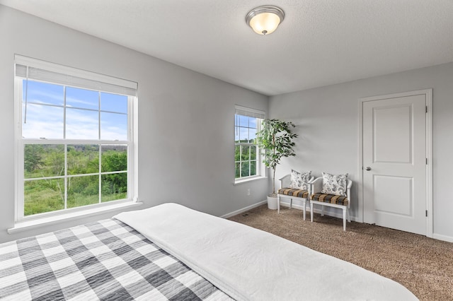 7558 Woods Edge Blvd, Lino Lakes, MN 55014 - bedroom with carpet and a textured ceiling