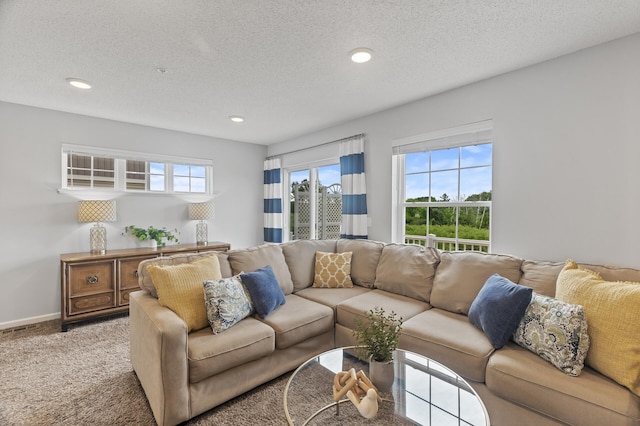 7558 Woods Edge Blvd, Lino Lakes, MN 55014 - living room featuring healthy amount of natural light, a textured ceiling, recessed lighting, and carpet