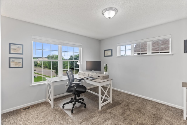 7558 Woods Edge Blvd, Lino Lakes, MN 55014 - carpeted office with a textured ceiling and baseboards